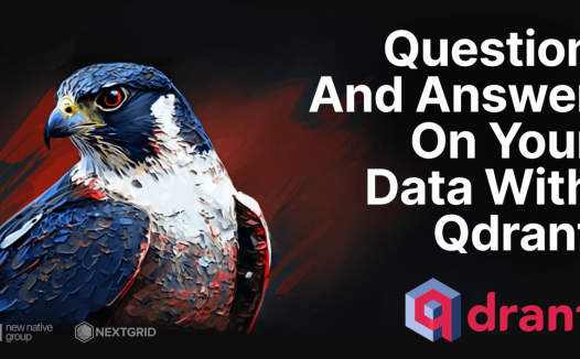 使用 Qdrant 对您的数据进行问答