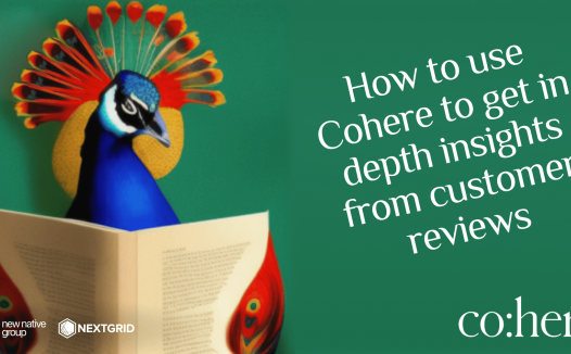 Cohere 教程：如何使用 Cohere 从客户评论中获得深入见解