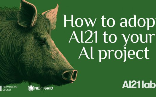 AI21 Labs 教程:如何将 AI21 应用到您的 AI 项目中