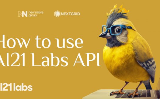 AI21 Labs 教程：如何使用 AI21 Labs API？
