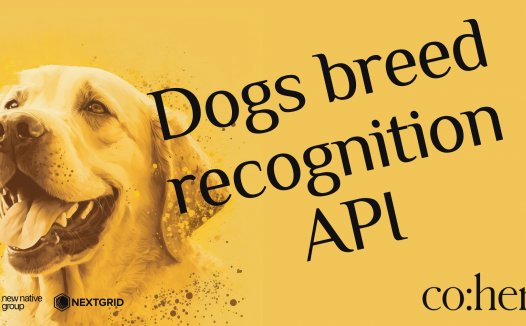 Cohere 教程：如何创建狗的品种识别 API