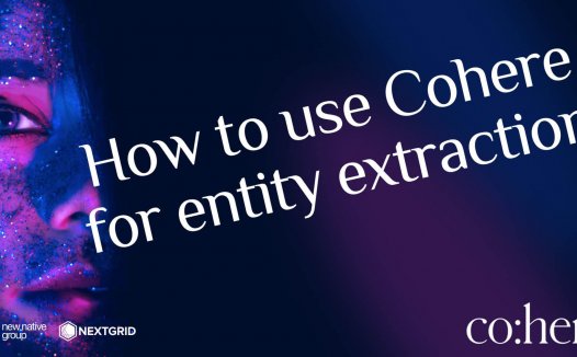 Cohere 教程：实体提取