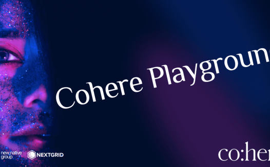 如何使用 Cohere：Cohere 游乐场