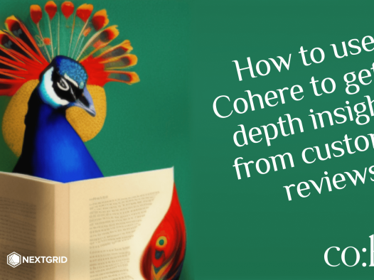 Cohere 教程:如何使用 Cohere 从客户评论中获得深入见解