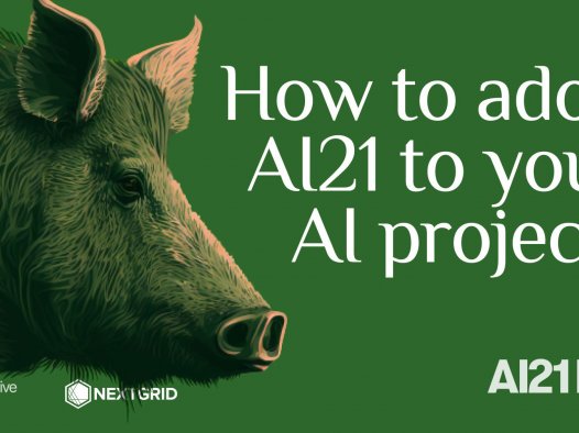 AI21 Labs 教程:如何将 AI21 应用到您的 AI 项目中