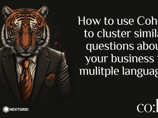 Cohere 教程:如何使用 Coheres 的新多语言模型更有效地回答有关您的业务的问题