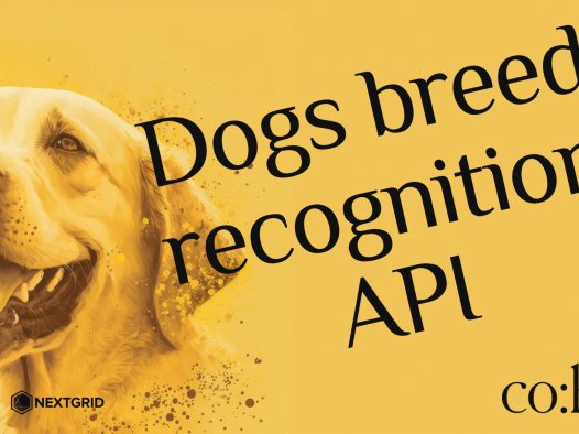 Cohere 教程:如何创建狗的品种识别 API