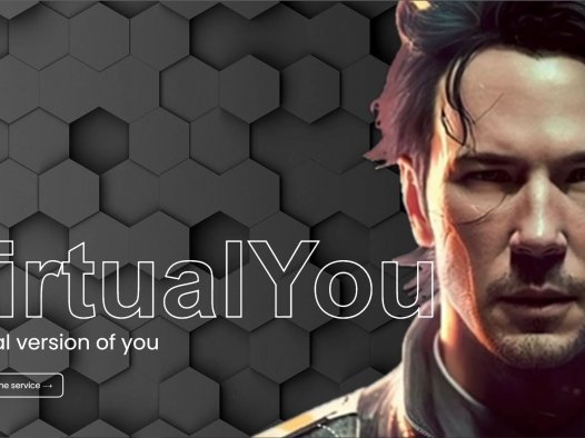 Virtual You