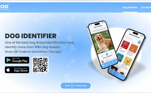 Dog Identifier