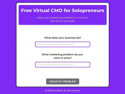 Virtual CMO