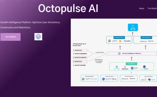 Octopulse AI