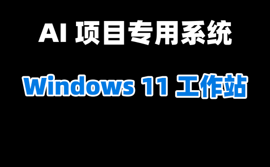 🖥️ 【2025年7.28日制作】AI 项目专用 Windows 11 工作站系统X64（纯净无精简版）