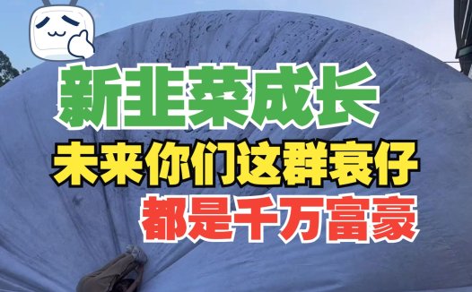 熊哥AIStarter创业路:从失败到翻身的AI变现新机会