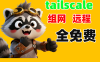 Tailscale远程组网教程：解决WiFi掉线备份失败+家庭网络稳定访问经验