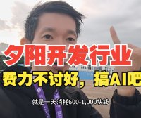 AIStarter平台开发心得:AI项目整合包一键部署与创业避坑指南