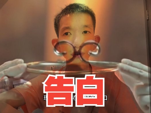 AIStarter与PanelAI区别详解:本地AI一键部署工具 vs 企业级AI项目管理平台