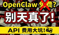 【硬核实战】OpenClaw 避坑指南：手把手教你基于 1Panel 容器化部署 DeepSeek 与 Gemini，解决设备未授权与模型报错！