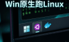 Windows下安装Ubuntu + Docker超详细教程（WSL2）｜PanelAI开发者必备本地Linux环境搭建