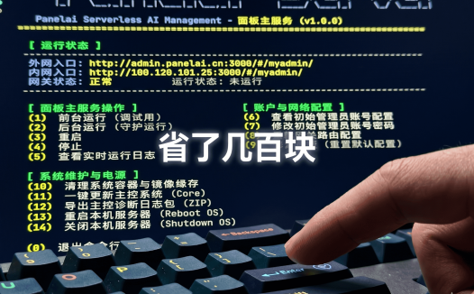 PanelAI 一键部署 AI 项目教程：CLI 命令优化、主子服务分离、服务器集群管理详解（含早鸟优惠）