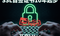 PanelAI 周更新:HTTPS域名证书绑定功能即将上线,应用市场与模型部署持续完善