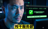 一台服务器 + PanelAI = 立刻拥抱本地 AI 生产力？完整私有化部署与变现方案详解