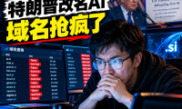 AI 改名 SI 后 .si 域名 48 小时被扫空：特朗普带来的又一个”信息差暴富”机会，普通人如何用 AI 抓住？